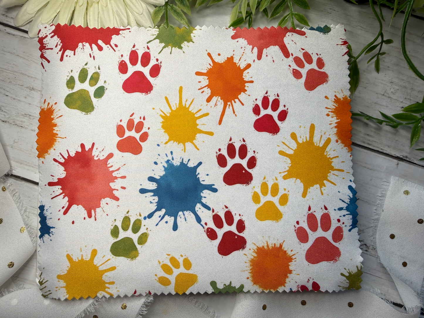 Paw Splash Eye Glass/Lens Cleaner