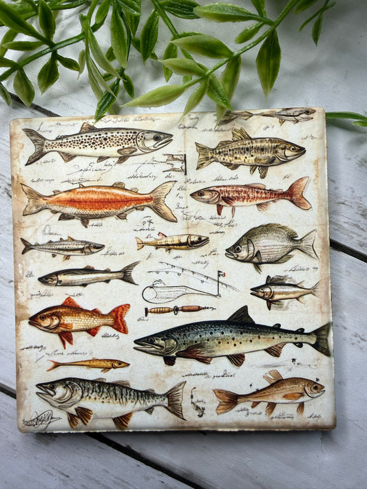 Fish Coaster