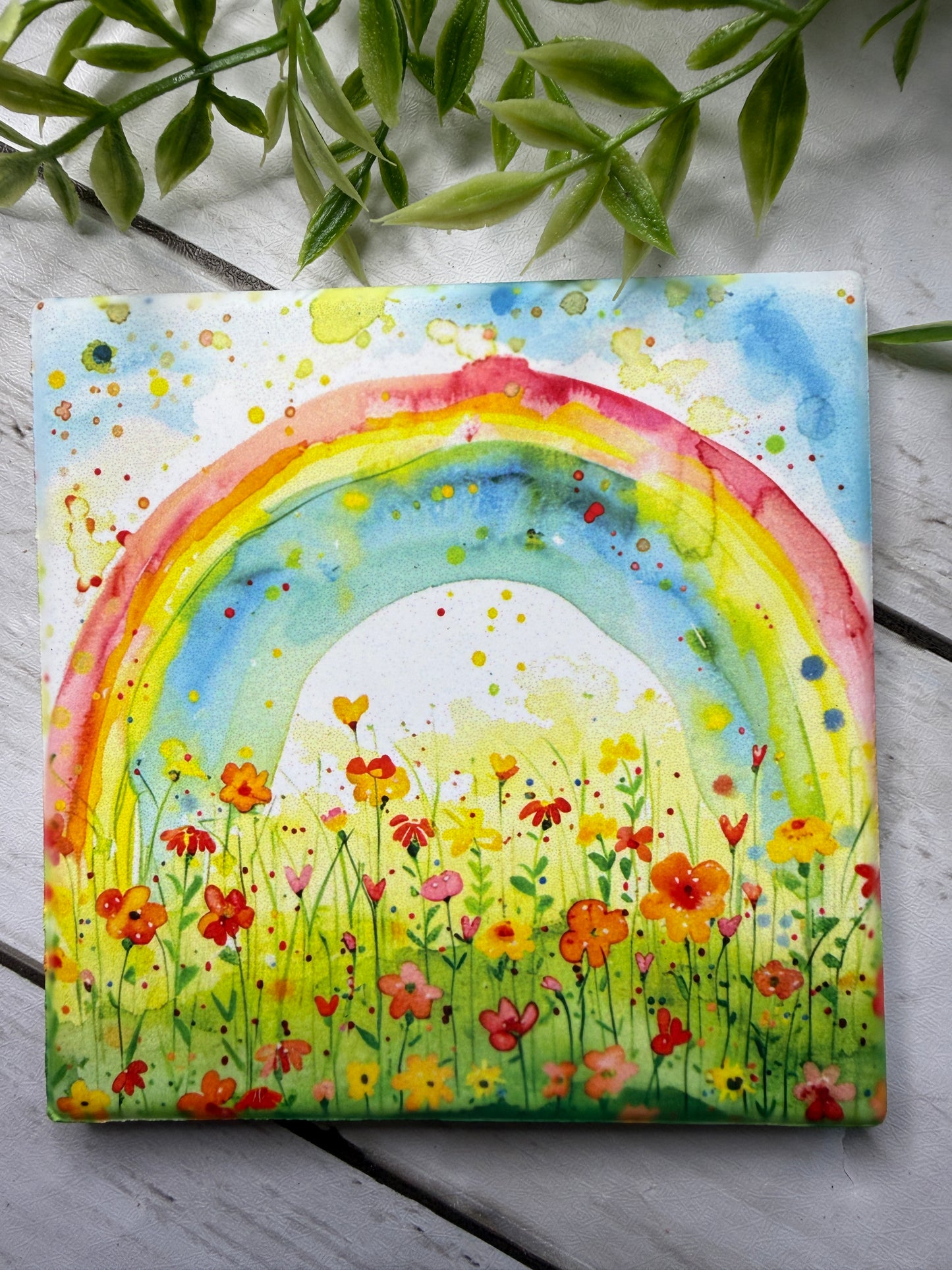 Rainbow Coaster